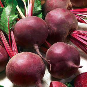 087224c9954ea32052196c6289069735