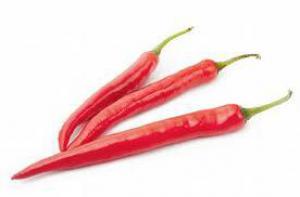 118dbb022abf6cd7e393a953ba450b42