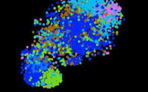 1f8583260af4841d2fc948d1e64d66fe