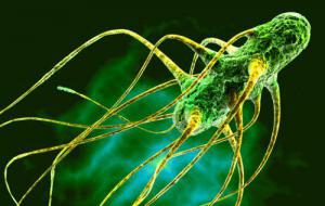 2299bb17c53b68a8b3d6f23e8151f242