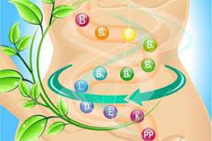 2ed6f10289eb3f3f14e9c8e590b12c06