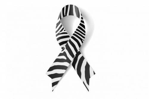 36581e9bbe0565a3c33ea9203211fb21