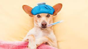 7407bd22d9d5e589c46c50e8b106f9c1