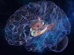 9047592f1d45bc339868780497f0e5bb