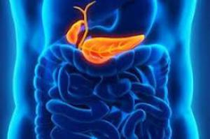 96c6d4a336651e8d66b884396c0f4da1