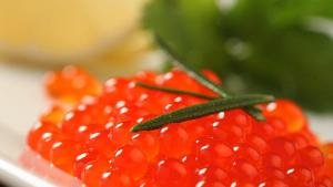 9de8e1e3245b05e8c305d2a84c40ee2c