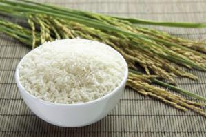 Be91894929a807d5bac185a77d250af9