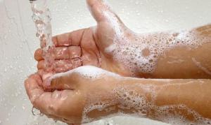 C15ff10f830b027546dc0a0c5b2189fd