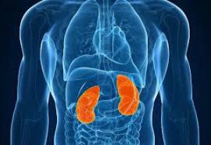 D0d267abece75b16f927a548c6e24980