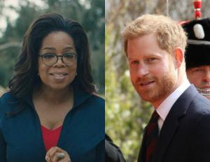 D240f8268392a2c0a7b1df248ca5562b