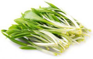 D7e00450d3a9d040176fa3ff9e27ced5