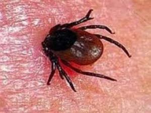 E3f4f7f5596188841b8bda9fe95fe1b4