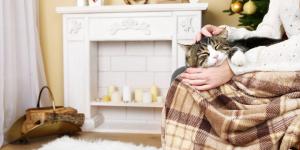 E6b02cf4a2548ddf1ddb7e092d47c218