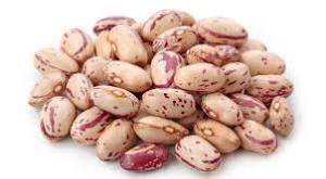 1ab48b904e6c6de770a293360db6b30b