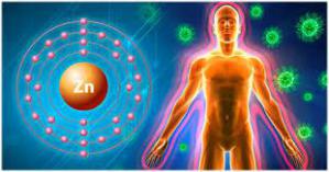 1f24c0106aa482e6f59e2798d8649e3e