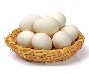 36697103b928c934476837e9a24b6d97