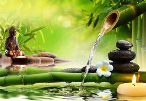 39c2ff2ea4db133861eca7f35fd89826