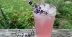 564b59ffdcee1162516e769ef4af8f99