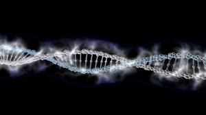 5f5ed30abdb457972e379f98c4c6e60a