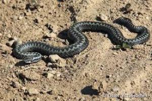 85a31a6ca2a00c21060c8b47352fb041