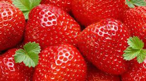 9d33f40a21da033e525c1e6710035b42