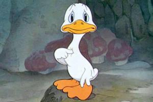 A1659bbf9d9212f56b2a0c3b102e13ca