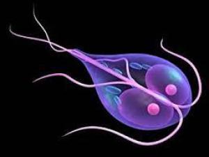 E88a9bbd24a553d153a61cf941e7c736