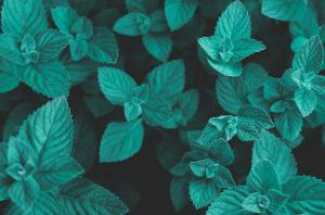 F7397b3aacf3caf13181fc901ec265d8