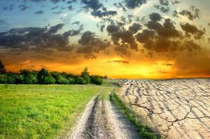 Fda274ebf86136e941aa25f5c063b3ac