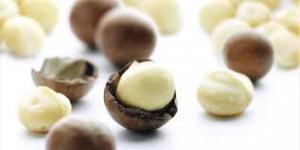 01aaeec63dec6788b342f56e4060781f