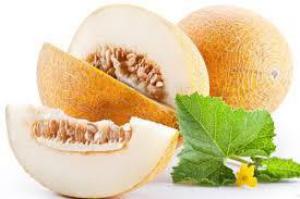 06d7a2395d2acdb846d1d118cd242ff7