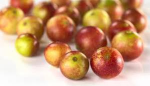 07fc572b2824999e4c2c41dbe07c2c4e