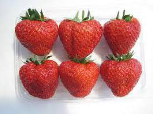 0d12f019ef279658bc8e14d538afc72a