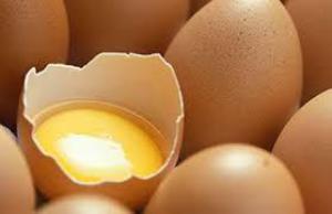 1a4ab769b8bbbac497fe4760b9605dd9