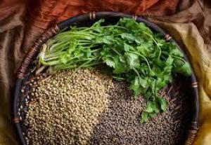 293c24c0c38ba62a09687c91c2190503