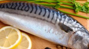 4d0d7ff85e3030b6f6d334591460ece9