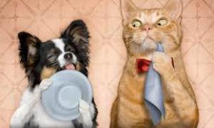 502248deafa18939f934f58e0ec7c385