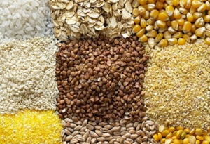 5c28e4dafb94a8418e6f825871d90e2a