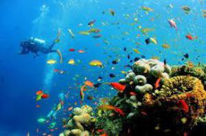 72e84c93fa86f8c08cee9275809ac528