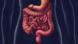 757bfe909868f36b0aa8fcd5b736b546