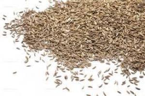 8a2492a6963da8c9d8ceb75f22683df1