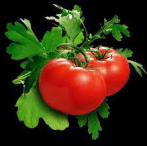 Bfdae18f4486d530f84868c5681f7fae