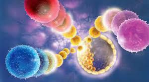 D68af3ce316f661fc58b1f2d03178ae1