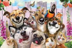 Dc3f7e39f4b9b66f9d52cd5baefcc171