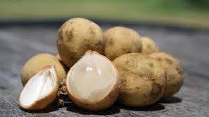 0743bf8300a28b764be21f825c47457c