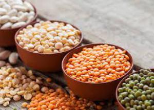 10066f2e345741bfcee96a517ab73ef1