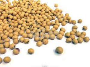 58455742152c7cb2480d1b39137c7c7d