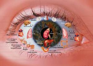 5f192b4b24397600a98eeb023b88795c