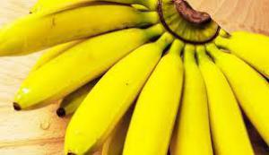 6abe602cd583f132d8eb415a1a57633a