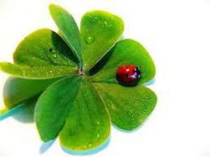 6df56382aa96ce737bf1ca707fc62232